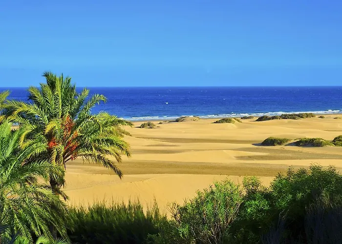 The Canteras Appartement *